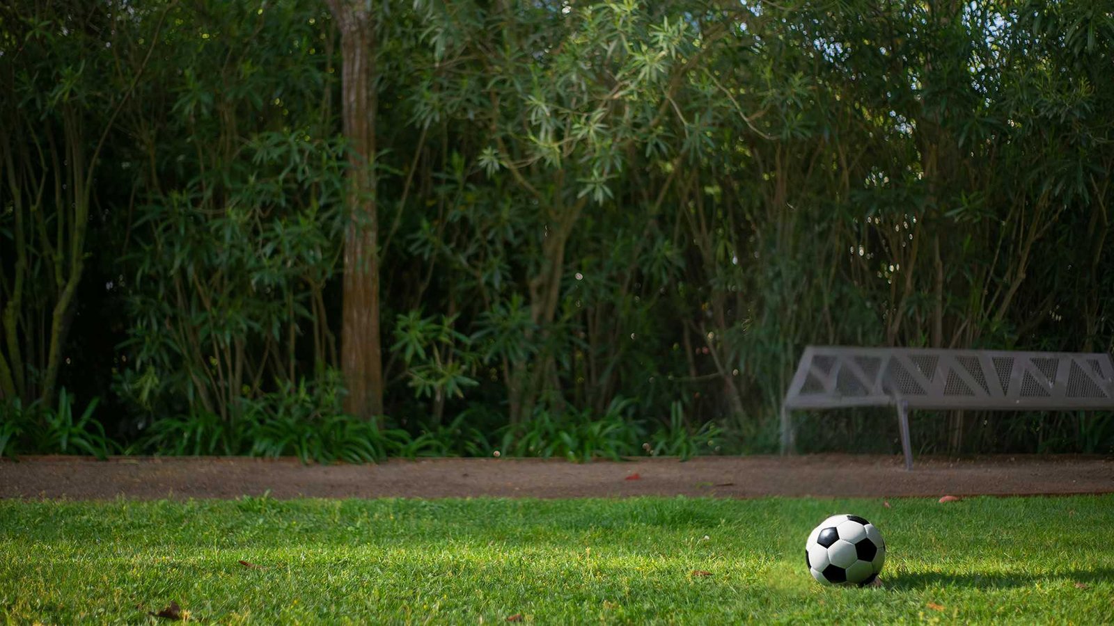 Teaching Methodology